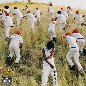 日本红怡院在线
